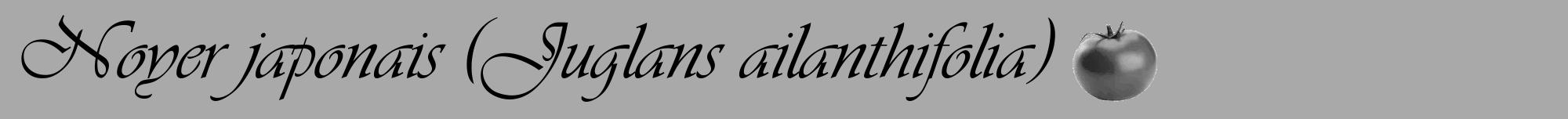 Étiquette de : Juglans ailanthifolia - format a - style noire13viv avec comestibilité simplifiée
