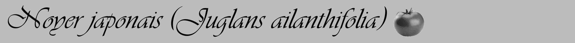 Étiquette de : Juglans ailanthifolia - format a - style noire1viv avec comestibilité simplifiée