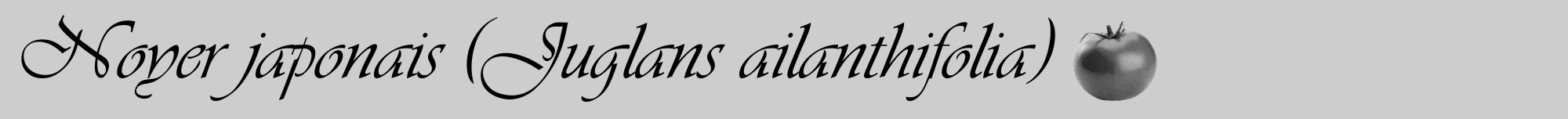 Étiquette de : Juglans ailanthifolia - format a - style noire41viv avec comestibilité simplifiée