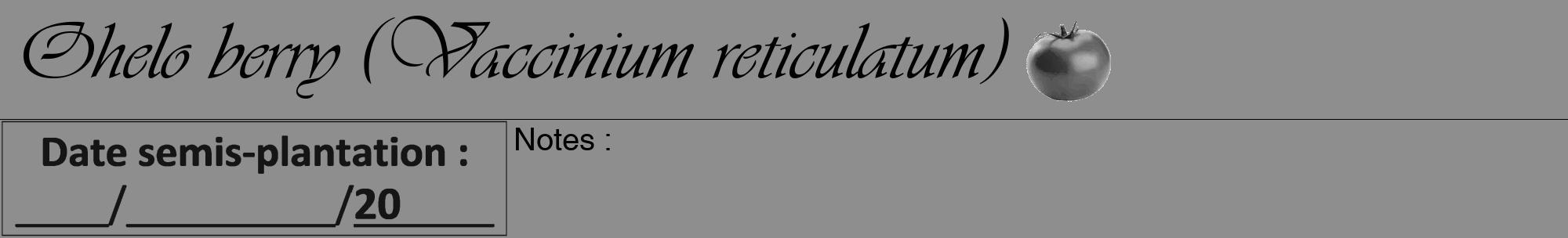 Étiquette de : Vaccinium reticulatum - format a - style noire25viv avec comestibilité simplifiée