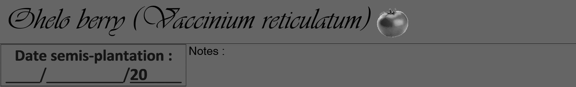 Étiquette de : Vaccinium reticulatum - format a - style noire32viv avec comestibilité simplifiée