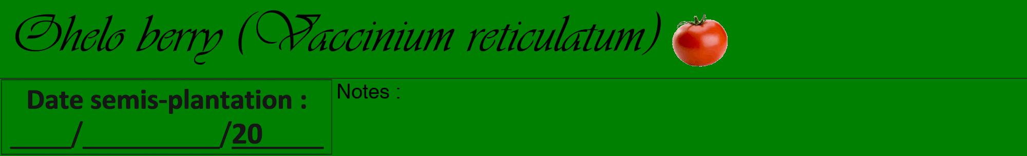 Étiquette de : Vaccinium reticulatum - format a - style noire9viv avec comestibilité simplifiée