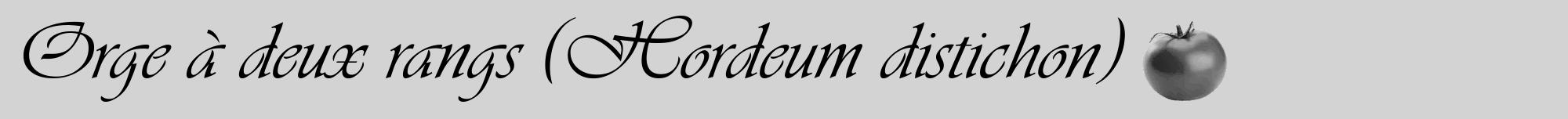 Étiquette de : Hordeum distichon - format a - style noire56viv avec comestibilité simplifiée