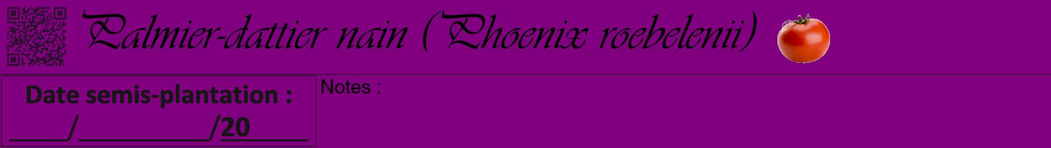 Étiquette de : Phoenix roebelenii - format a - style noire46viv avec qrcode et comestibilité simplifiée