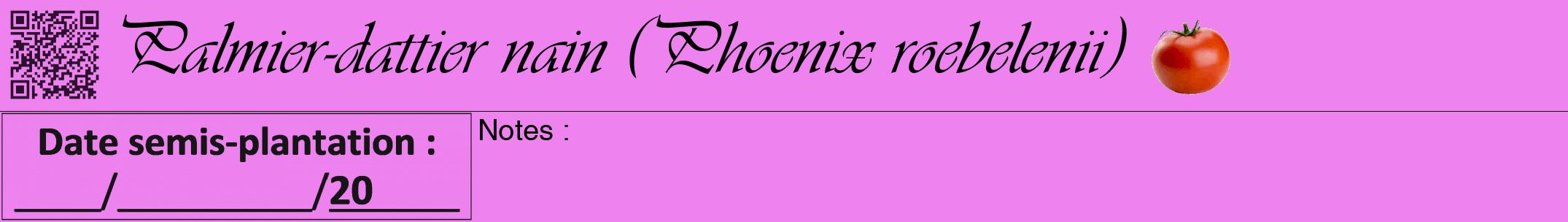 Étiquette de : Phoenix roebelenii - format a - style noire53simpleviv avec qrcode et comestibilité simplifiée