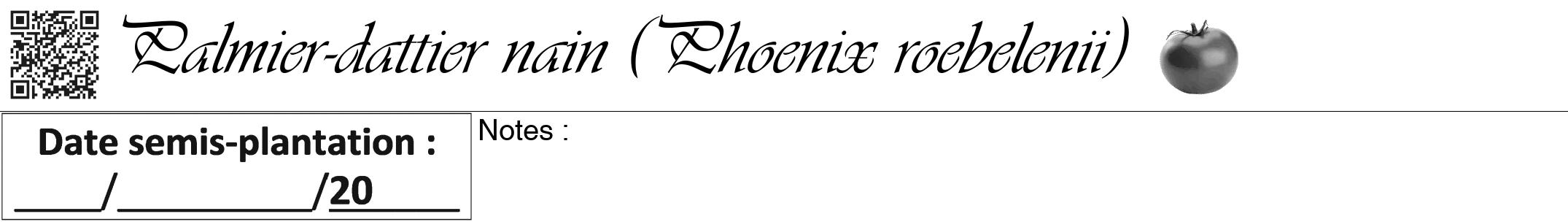 Étiquette de : Phoenix roebelenii - format a - style noire60viv avec qrcode et comestibilité simplifiée