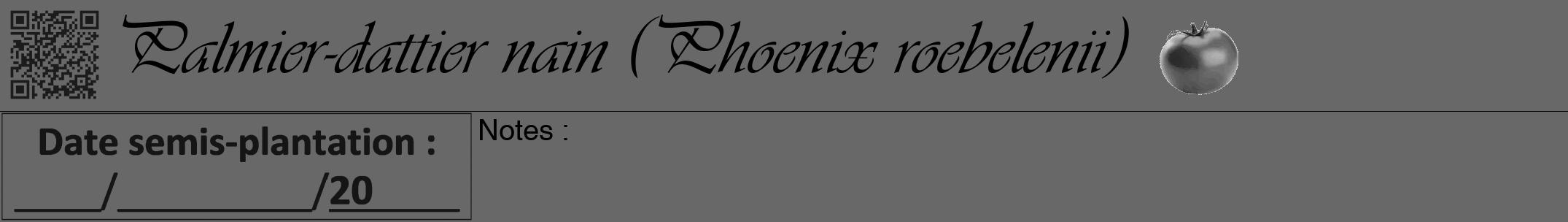 Étiquette de : Phoenix roebelenii - format a - style noire6viv avec qrcode et comestibilité simplifiée