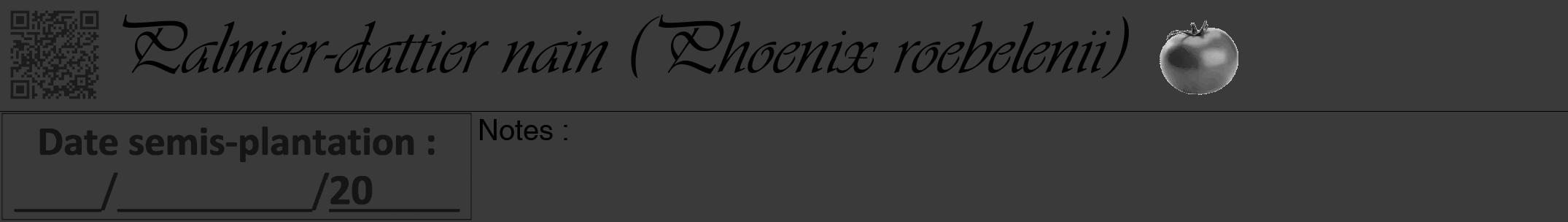 Étiquette de : Phoenix roebelenii - format a - style noire8viv avec qrcode et comestibilité simplifiée