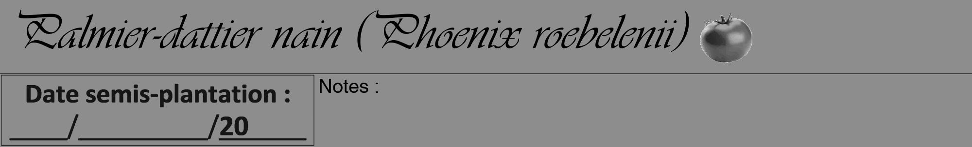 Étiquette de : Phoenix roebelenii - format a - style noire2viv avec comestibilité simplifiée