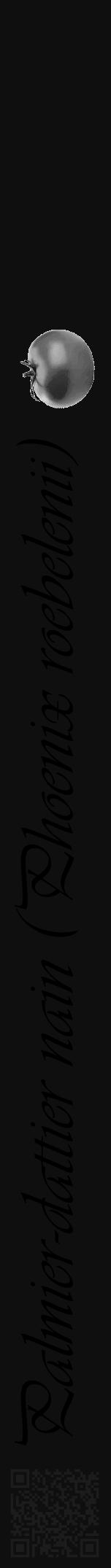 Étiquette de : Phoenix roebelenii - format a - style noire7viv avec qrcode et comestibilité simplifiée - position verticale