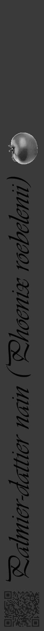 Étiquette de : Phoenix roebelenii - format a - style noire8viv avec qrcode et comestibilité simplifiée - position verticale