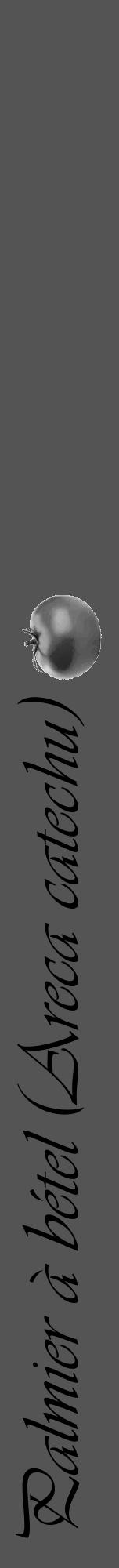 Étiquette de : Areca catechu - format a - style noire36viv avec comestibilité simplifiée - position verticale