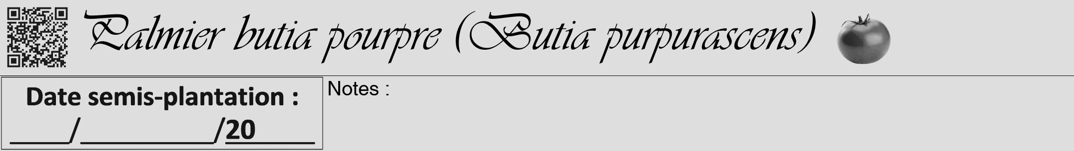Étiquette de : Butia purpurascens - format a - style noire20viv avec qrcode et comestibilité simplifiée