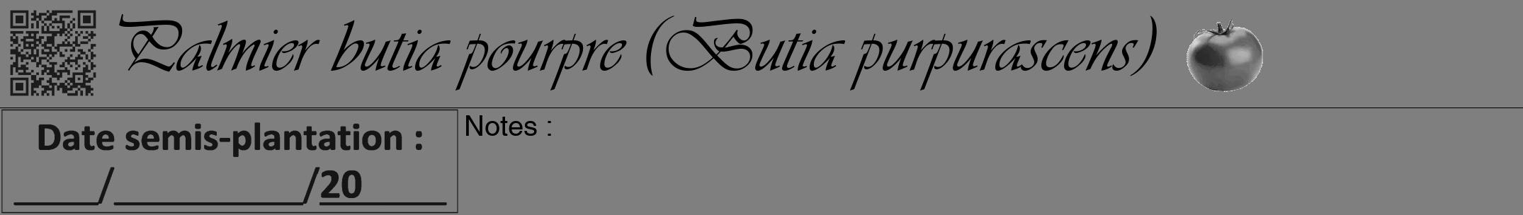 Étiquette de : Butia purpurascens - format a - style noire31viv avec qrcode et comestibilité simplifiée