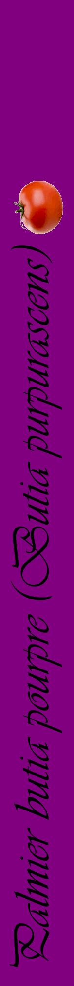 Étiquette de : Butia purpurascens - format a - style noire46viv avec comestibilité simplifiée