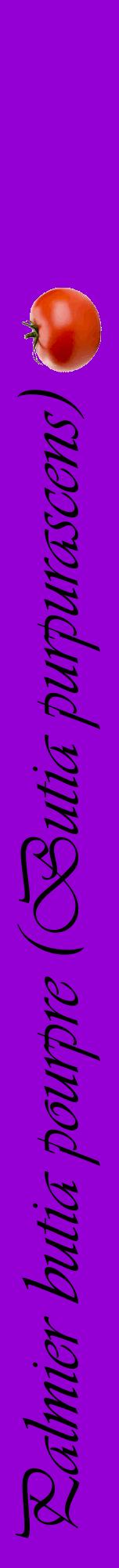 Étiquette de : Butia purpurascens - format a - style noire48viv avec comestibilité simplifiée