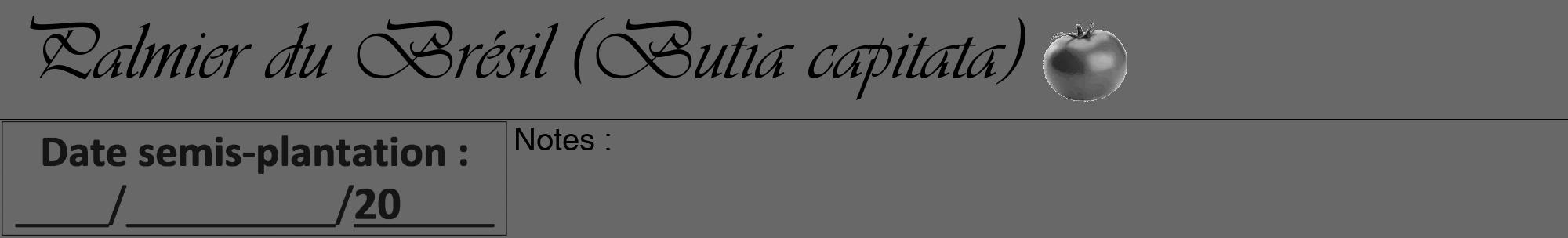 Étiquette de : Butia capitata - format a - style noire43viv avec comestibilité simplifiée