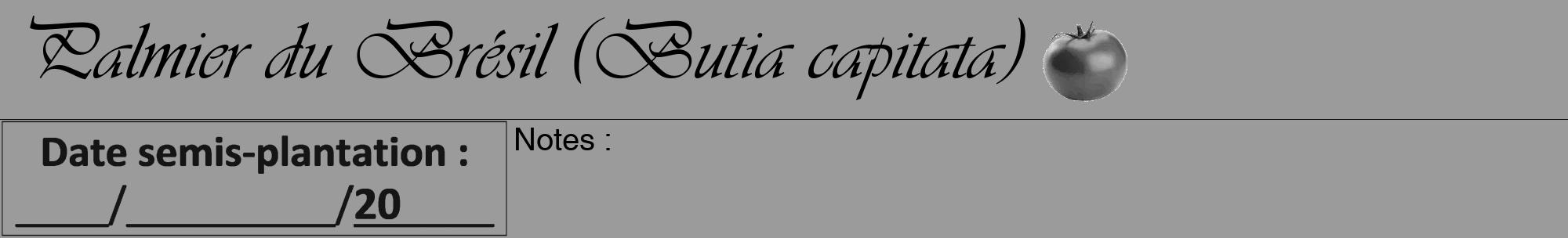 Étiquette de : Butia capitata - format a - style noire52viv avec comestibilité simplifiée