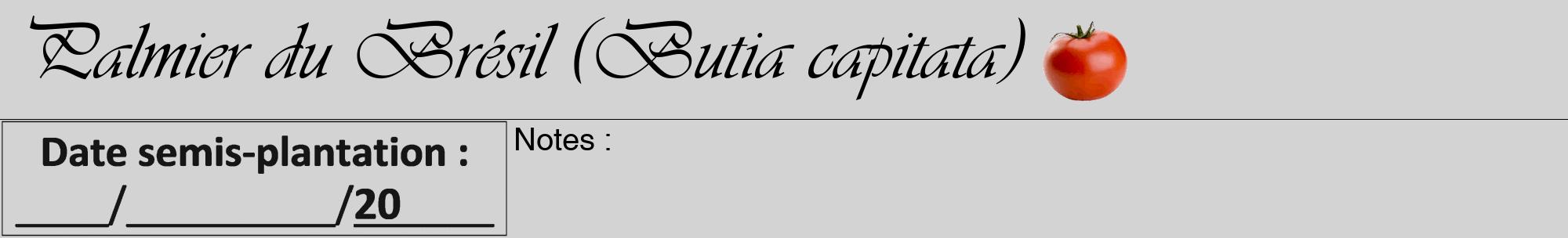 Étiquette de : Butia capitata - format a - style noire56viv avec comestibilité simplifiée