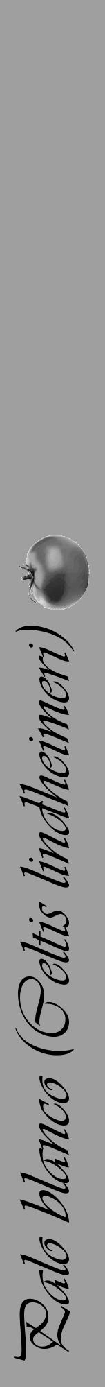 Étiquette de : Celtis lindheimeri - format a - style noire24viv avec comestibilité simplifiée - position verticale