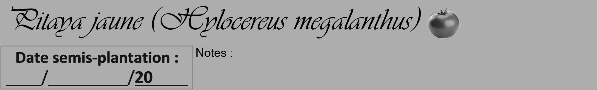 Étiquette de : Hylocereus megalanthus - format a - style noire22viv avec comestibilité simplifiée