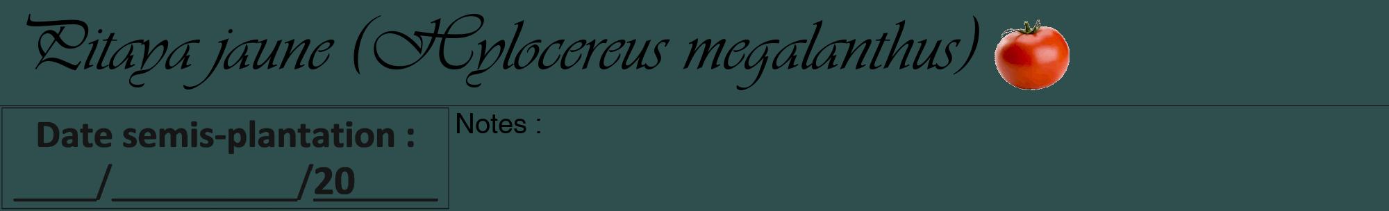 Étiquette de : Hylocereus megalanthus - format a - style noire58viv avec comestibilité simplifiée