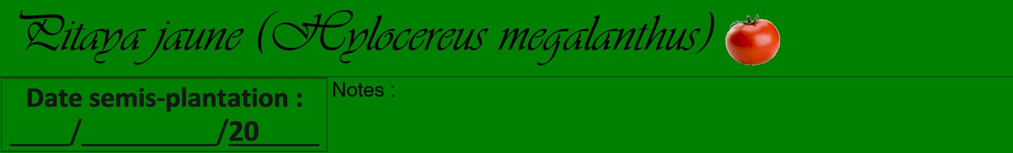 Étiquette de : Hylocereus megalanthus - format a - style noire9viv avec comestibilité simplifiée