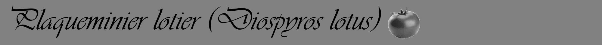 Étiquette de : Diospyros lotus - format a - style noire50viv avec comestibilité simplifiée