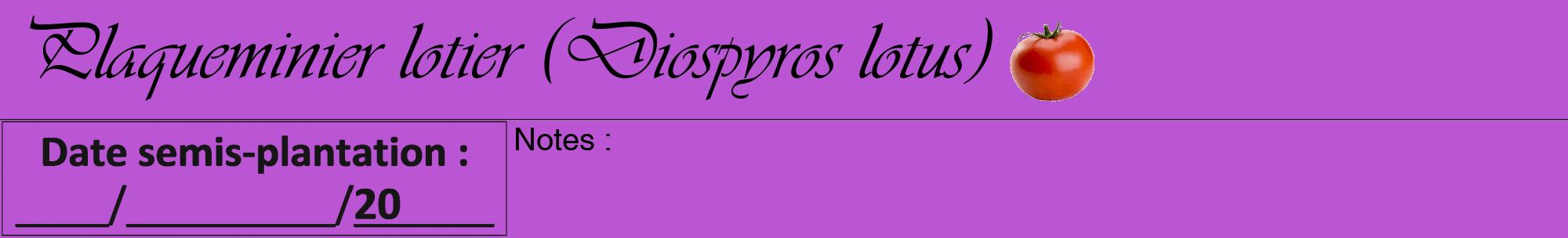 Étiquette de : Diospyros lotus - format a - style noire50viv avec comestibilité simplifiée