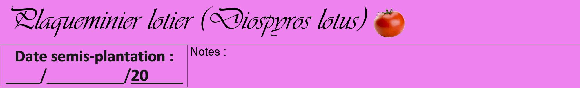 Étiquette de : Diospyros lotus - format a - style noire53viv avec comestibilité simplifiée