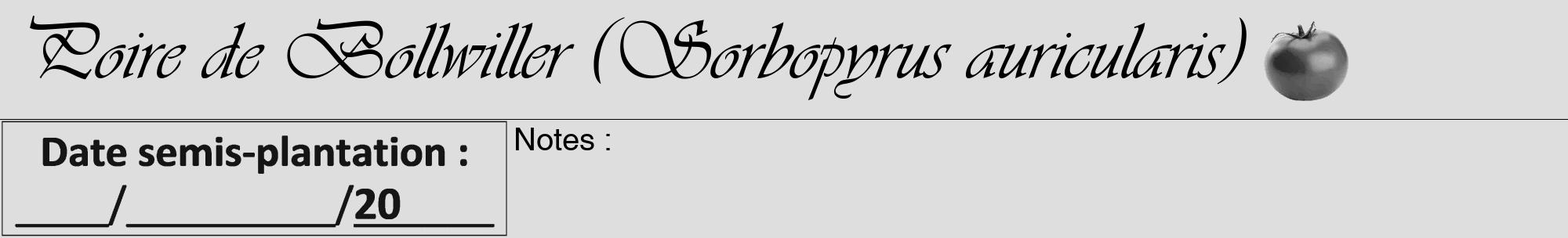 Étiquette de : Sorbopyrus auricularis - format a - style noire20viv avec comestibilité simplifiée