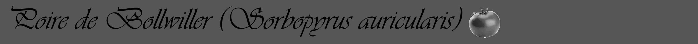 Étiquette de : Sorbopyrus auricularis - format a - style noire45simpleviv avec comestibilité simplifiée