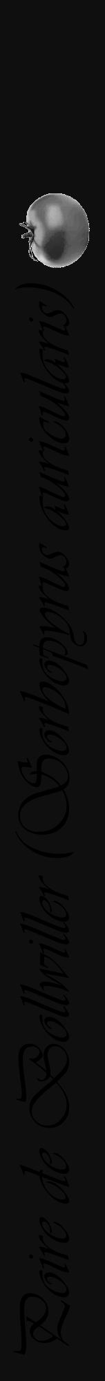 Étiquette de : Sorbopyrus auricularis - format a - style noire7viv avec comestibilité simplifiée - position verticale