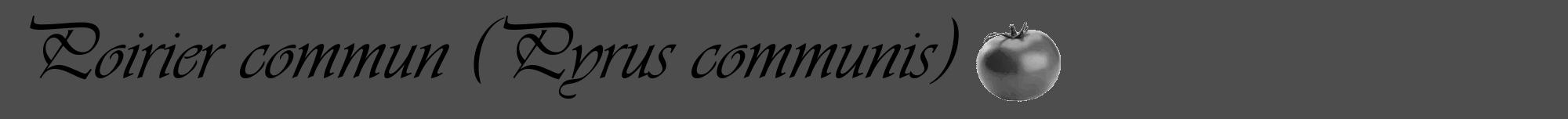 Étiquette de : Pyrus communis - format a - style noire28viv avec comestibilité simplifiée
