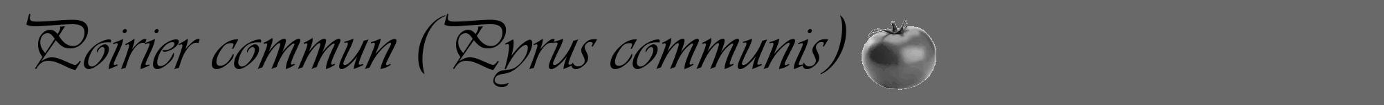 Étiquette de : Pyrus communis - format a - style noire51viv avec comestibilité simplifiée