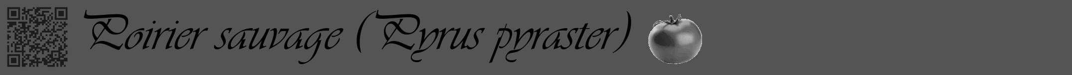 Étiquette de : Pyrus pyraster - format a - style noire30simpleviv avec qrcode et comestibilité simplifiée