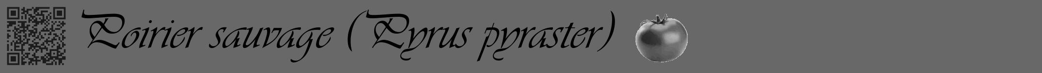Étiquette de : Pyrus pyraster - format a - style noire6viv avec qrcode et comestibilité simplifiée