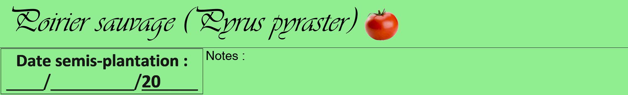 Étiquette de : Pyrus pyraster - format a - style noire15viv avec comestibilité simplifiée