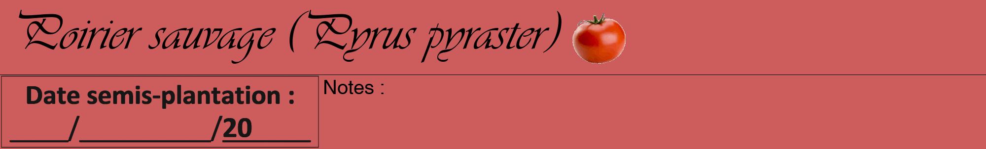 Étiquette de : Pyrus pyraster - format a - style noire35viv avec comestibilité simplifiée