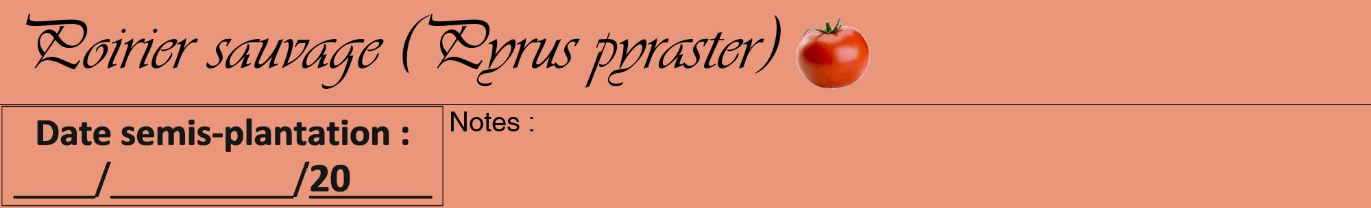 Étiquette de : Pyrus pyraster - format a - style noire37viv avec comestibilité simplifiée
