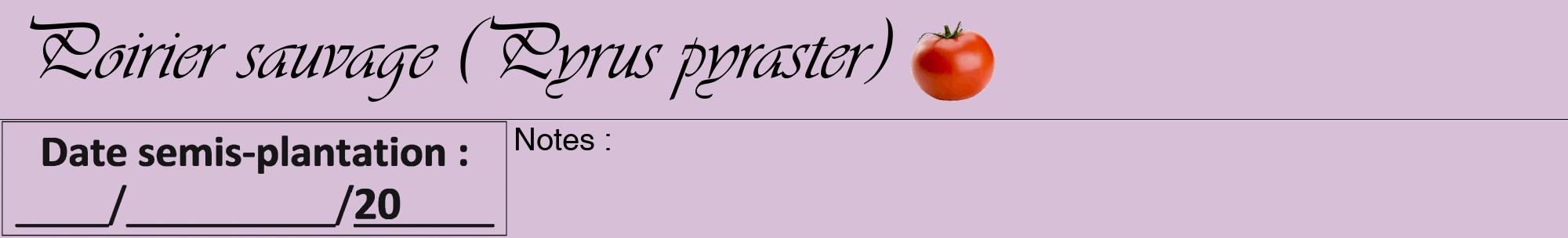 Étiquette de : Pyrus pyraster - format a - style noire54viv avec comestibilité simplifiée