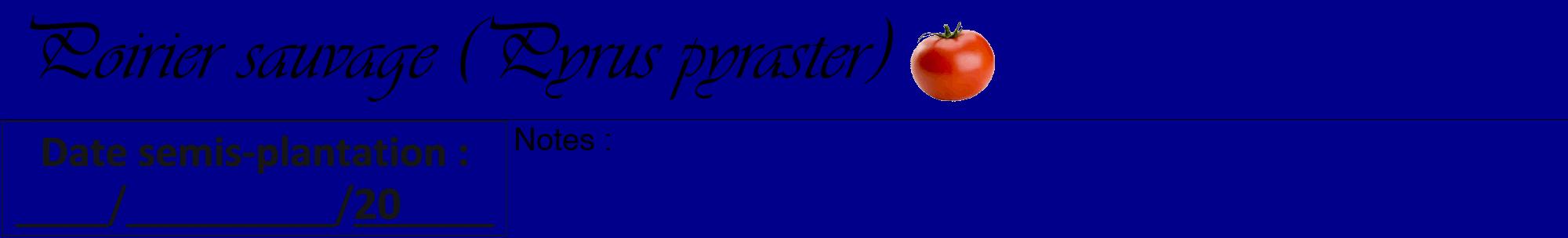 Étiquette de : Pyrus pyraster - format a - style noire7viv avec comestibilité simplifiée