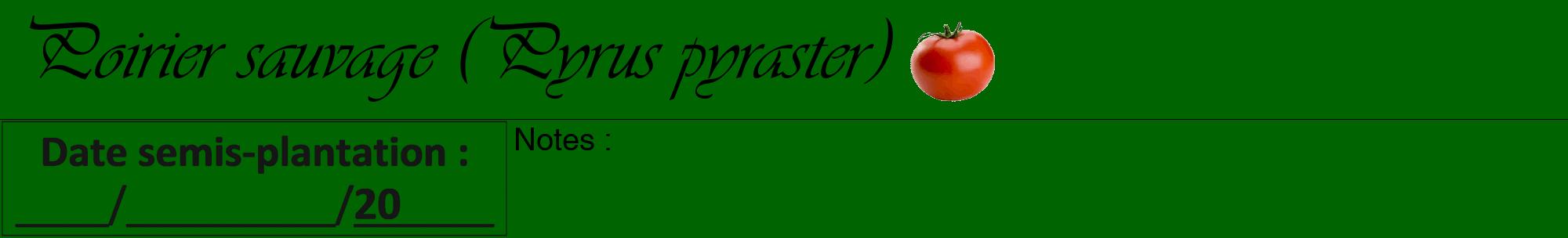 Étiquette de : Pyrus pyraster - format a - style noire8viv avec comestibilité simplifiée