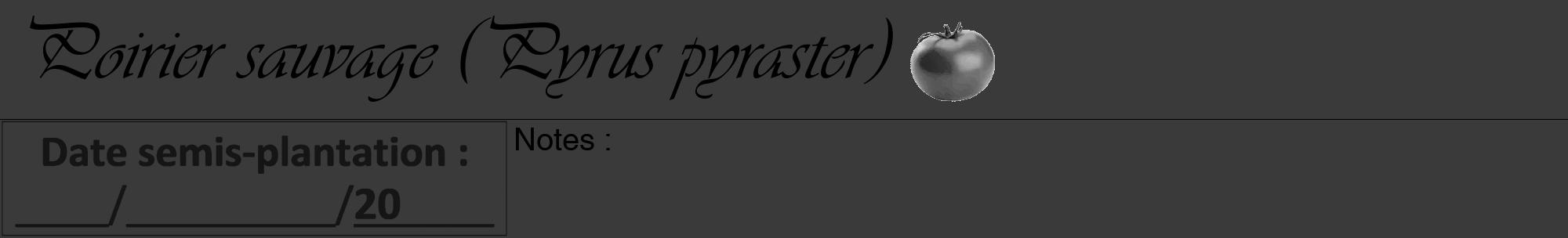 Étiquette de : Pyrus pyraster - format a - style noire8viv avec comestibilité simplifiée