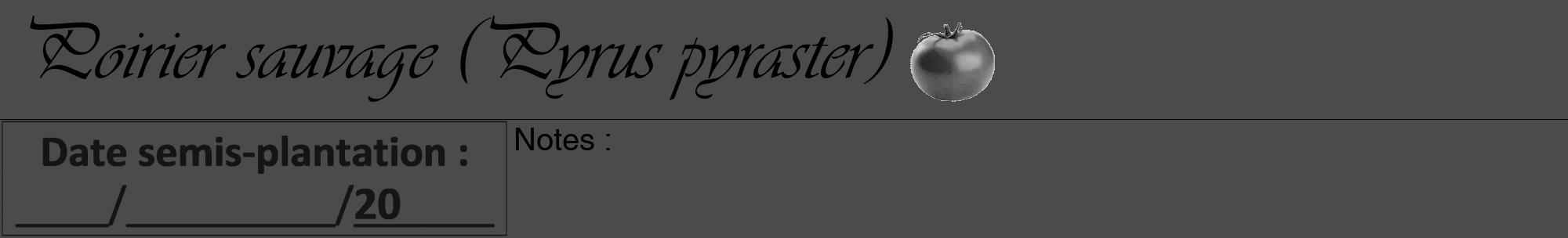Étiquette de : Pyrus pyraster - format a - style noire9viv avec comestibilité simplifiée