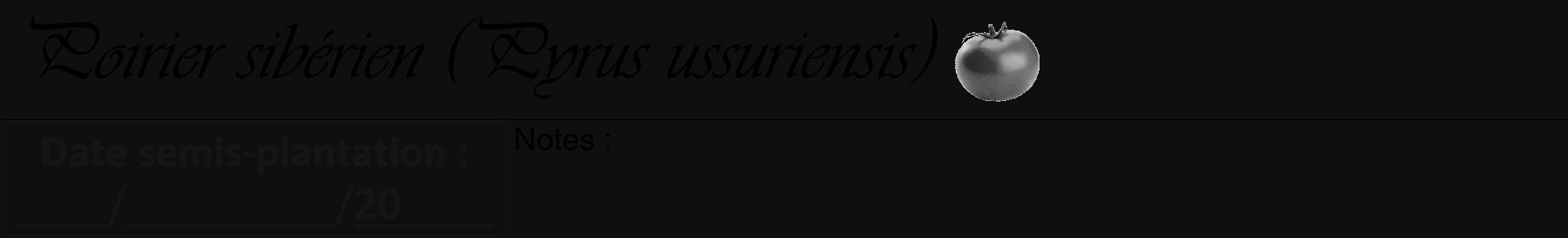 Étiquette de : Pyrus ussuriensis - format a - style noire7viv avec comestibilité simplifiée