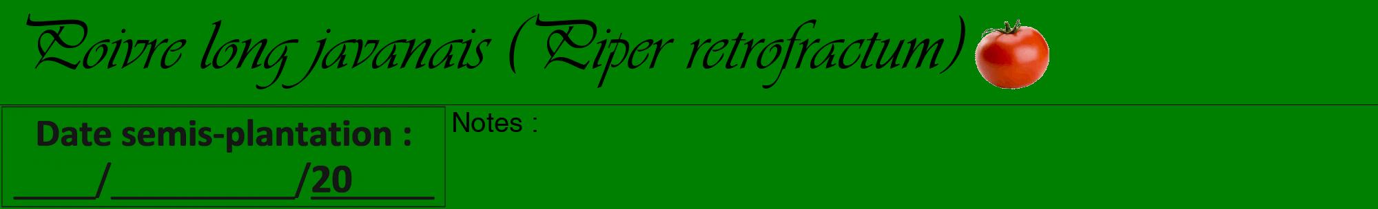 Étiquette de : Piper retrofractum - format a - style noire9viv avec comestibilité simplifiée