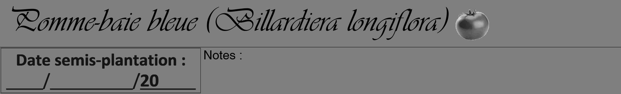 Étiquette de : Billardiera longiflora - format a - style noire31viv avec comestibilité simplifiée