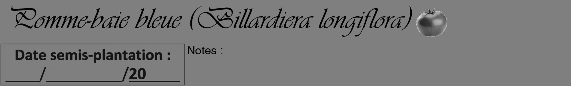 Étiquette de : Billardiera longiflora - format a - style noire57viv avec comestibilité simplifiée