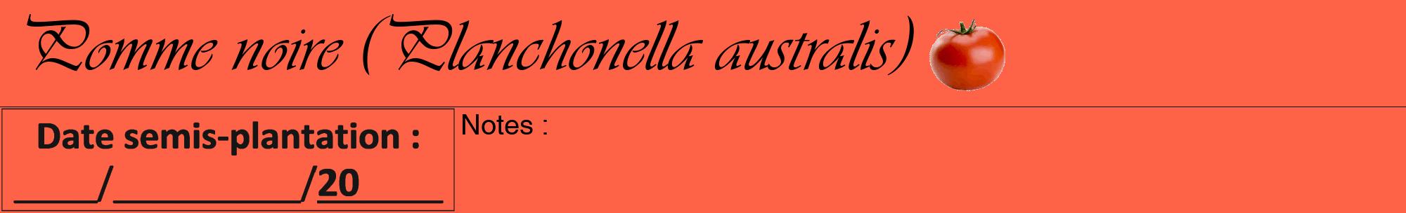 Étiquette de : Planchonella australis - format a - style noire25viv avec comestibilité simplifiée